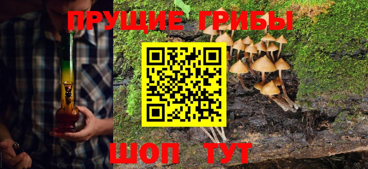 Галлюциногенные грибы Magic Shrooms  Галлюциногенные грибы Psilocybe  Набережные Челны  Вход с VPN 